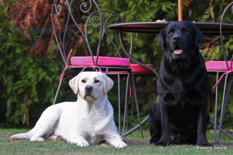 Field Erstein 09 (116).JPG